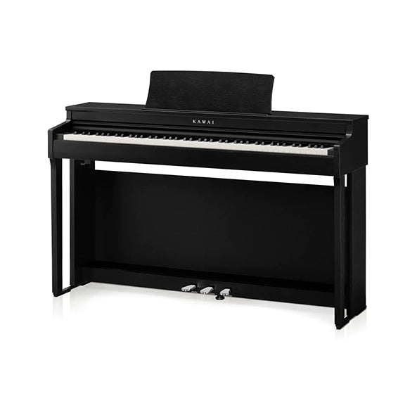 KAWAI CN 201 B