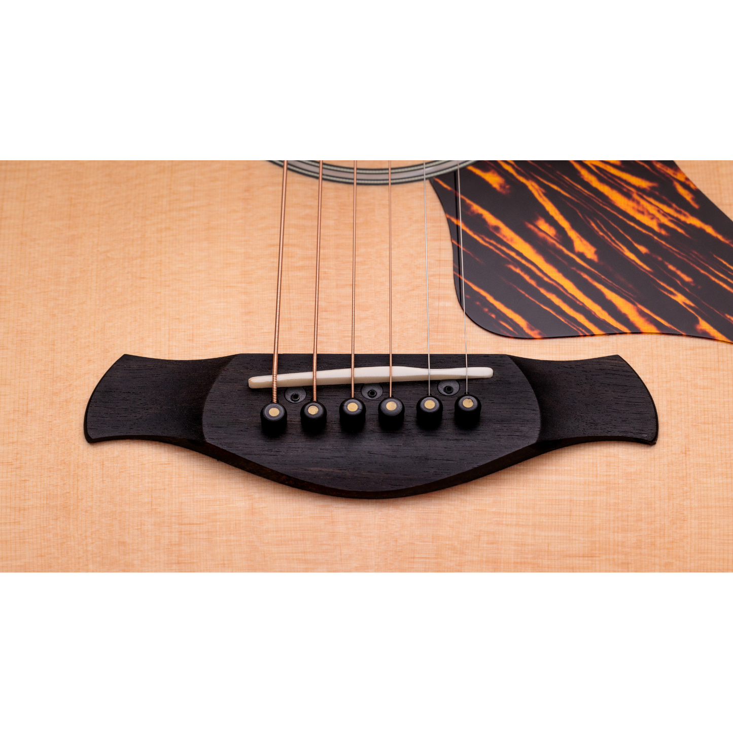 Taylor Builder’s Edition 314ce LTD (Natural Top) 50th Anniversary