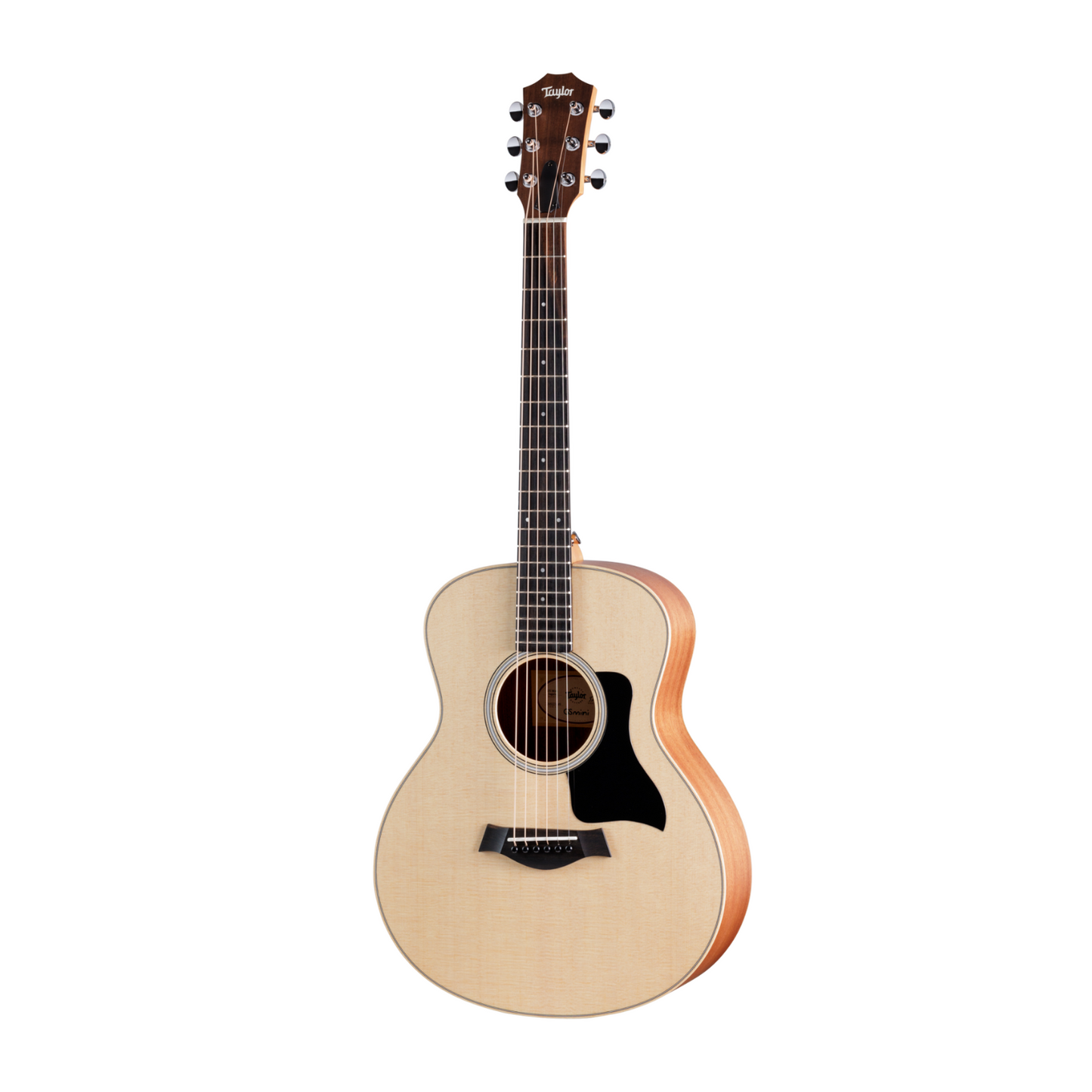 Taylor GS Mini Sapele