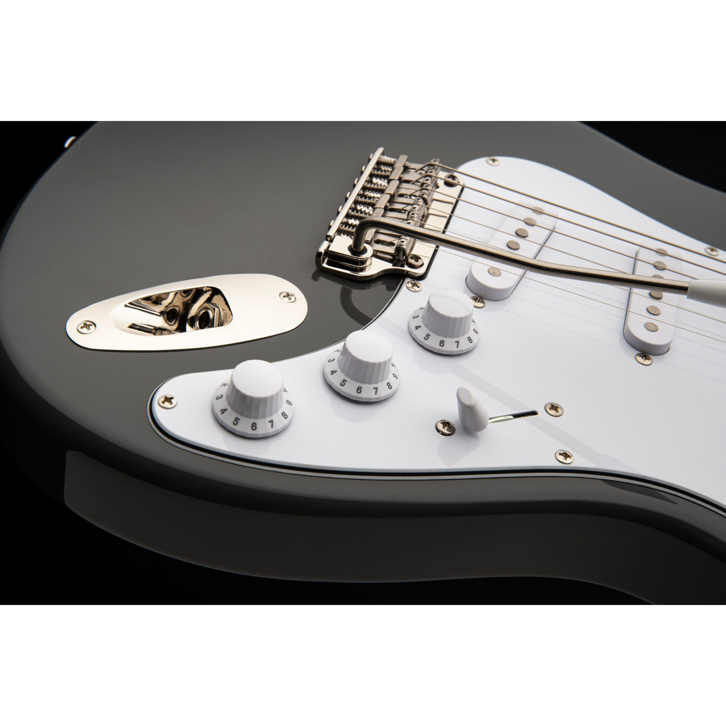 PRS SE Silver Sky Maple - Overland Gray