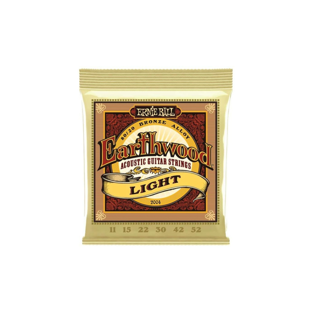 Ernie Ball 2004 Earthwood 80/20 Light