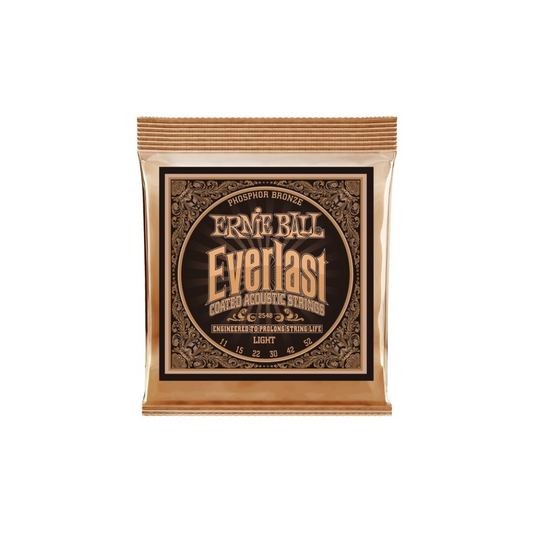 Ernie Ball 2548 Everlast Phosphor Bronze Light