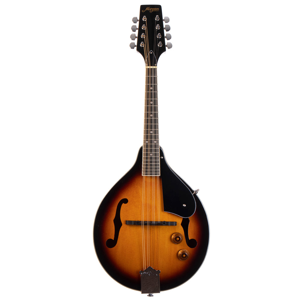MORGAN MANDOLIN M 20 E VS