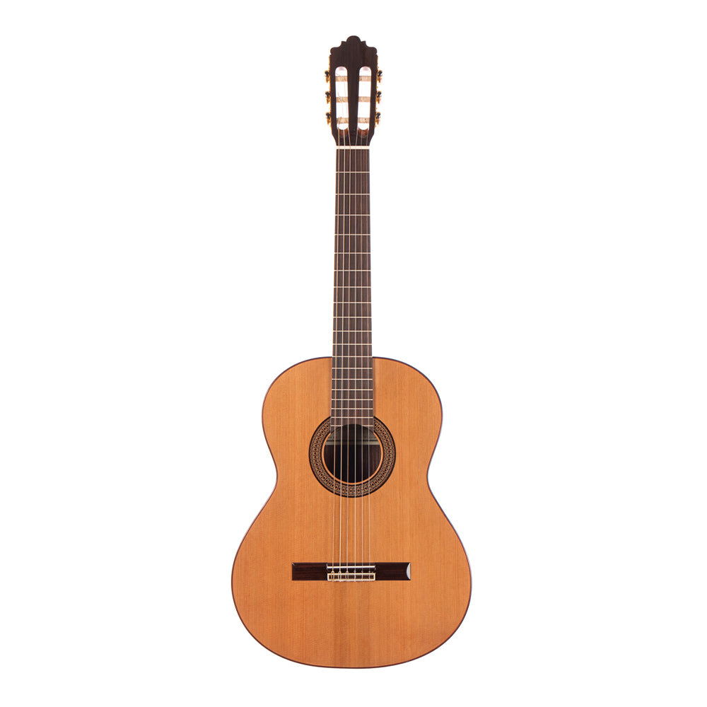 ALTAMIRA N 300+