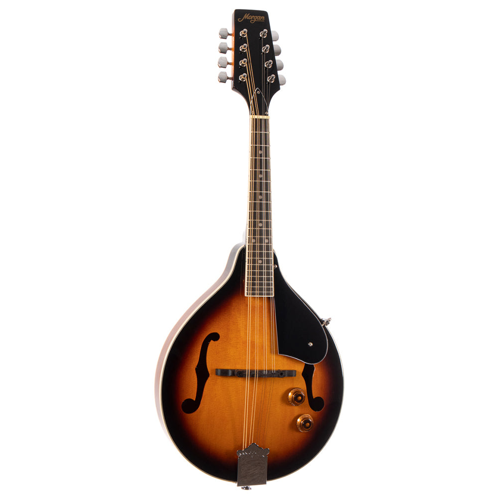 MORGAN MANDOLIN M 20 E VS