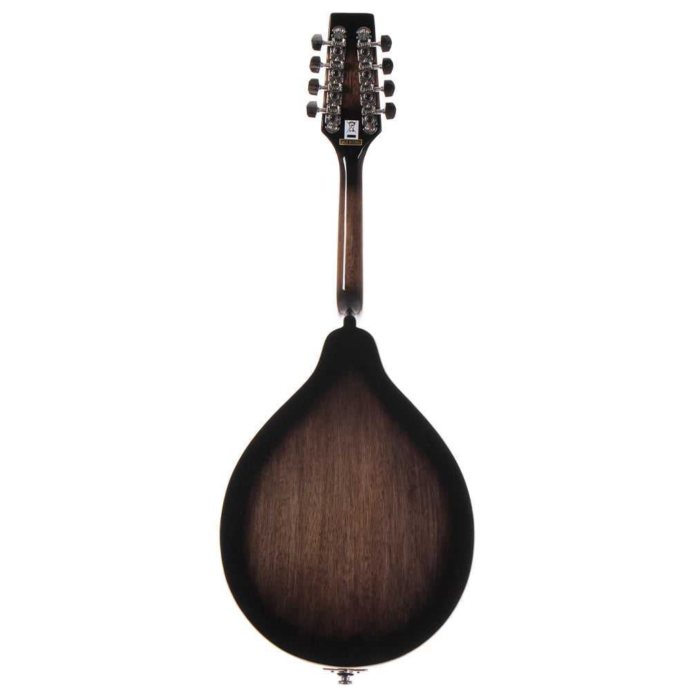 MORGAN MANDOLIN M 20 E TBK