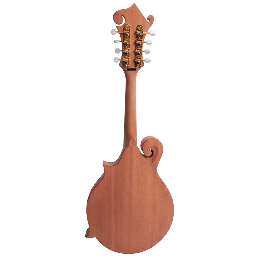 MORGAN MANDOLIN M 63 E NM W/CASE
