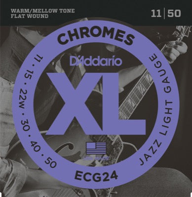 D'Addario Fretted ECG24 011 - 050