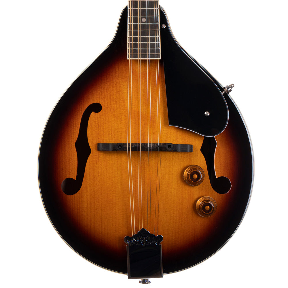 MORGAN MANDOLIN M 20 E VS