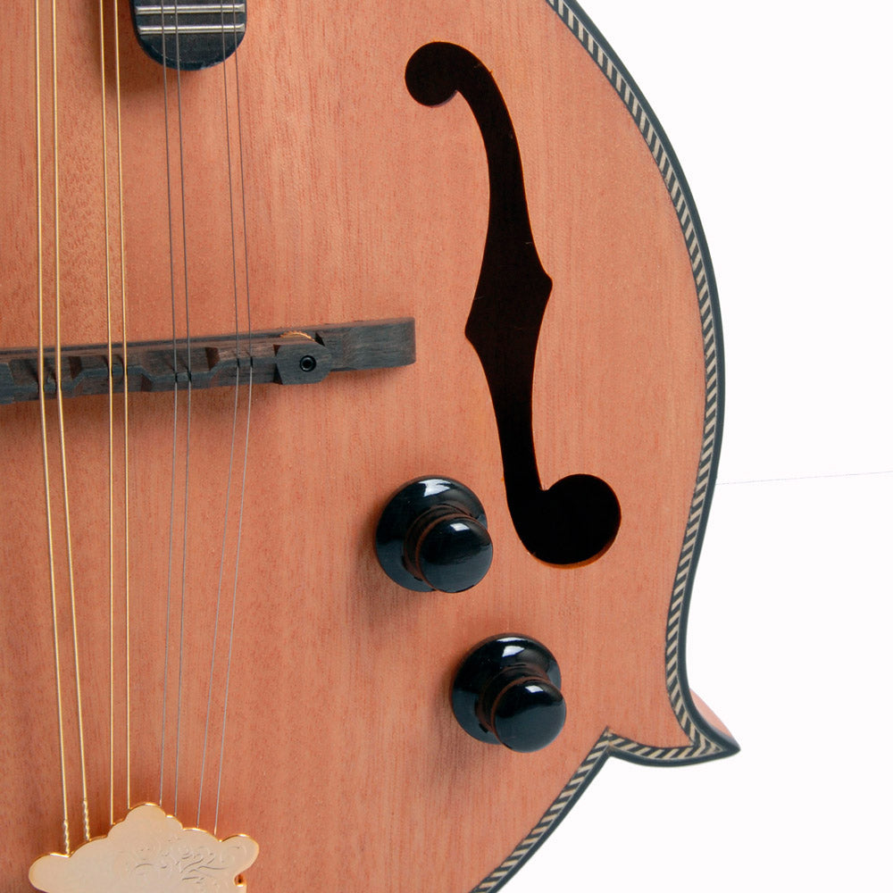 MORGAN MANDOLIN M 63 E NM W/CASE