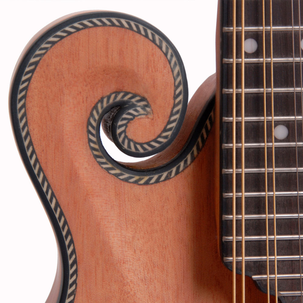 MORGAN MANDOLIN M 63 E NM W/CASE
