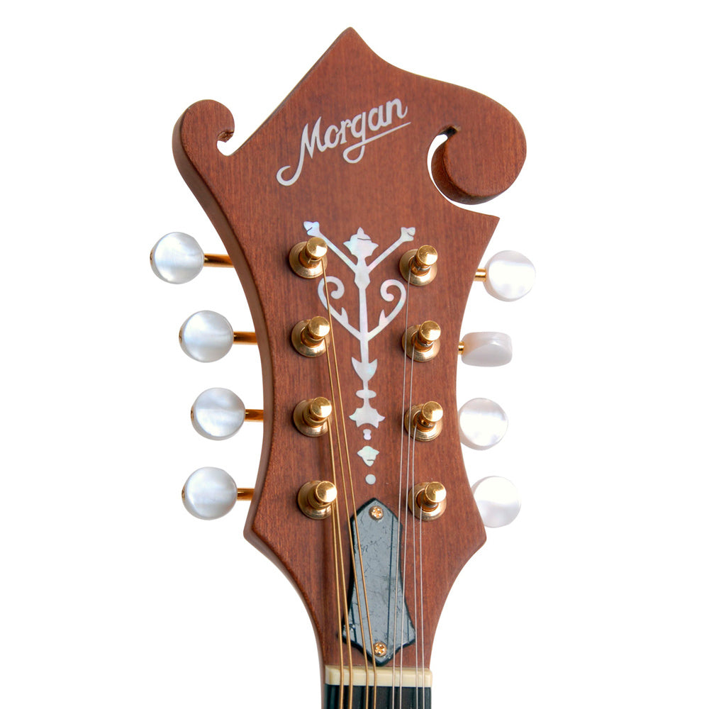 MORGAN MANDOLIN M 63 E NM W/CASE