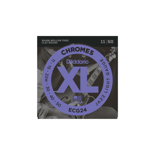 D'Addario Fretted ECG24 011 - 050