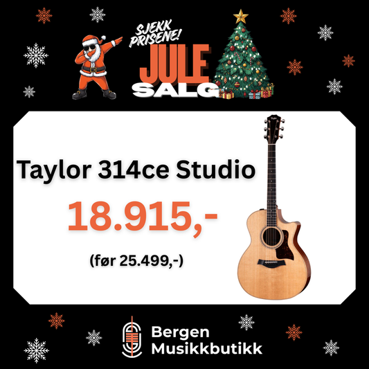 JULESALG Taylor 314ce Studio Natural