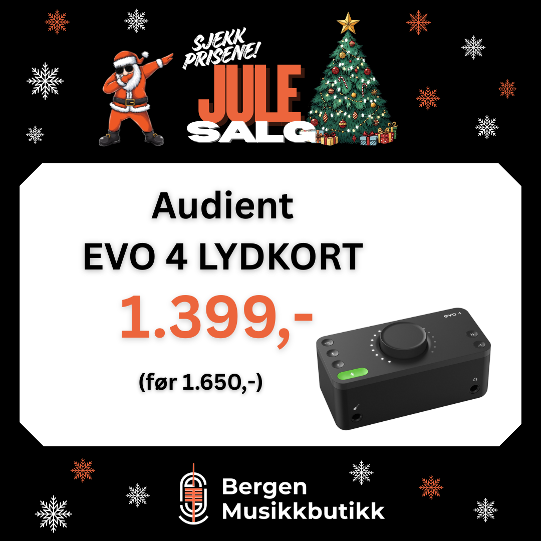 JULESALG AUDIENT EVO 4 2in/2out Audio Interface