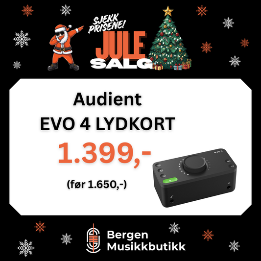 JULESALG AUDIENT EVO 4 2in/2out Audio Interface