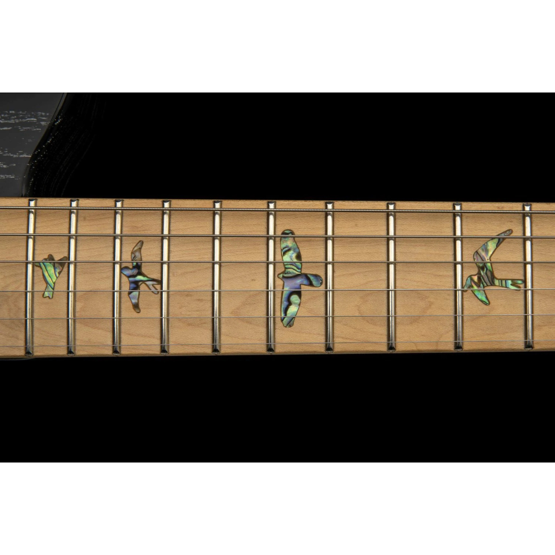 PRS SE NF53 MBW Black Doghair