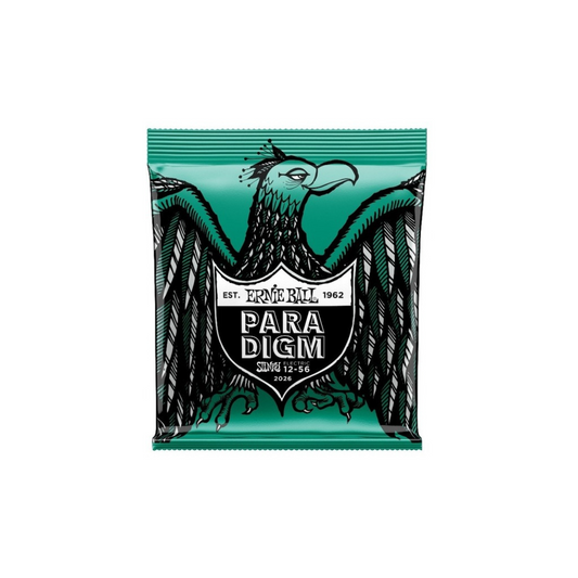 Ernie Ball 2026 Paradigm Not Even Slinky